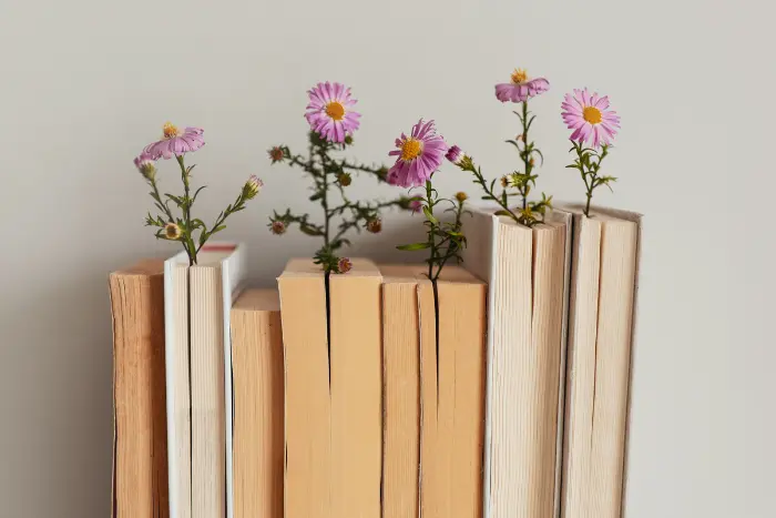 Zakaj določene knjige pridejo v naše življenje ob ravno pravem času?