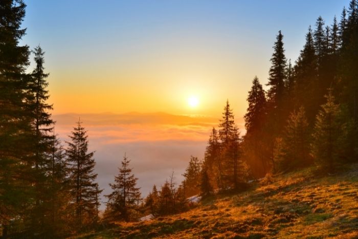 Oshovi nasveti, kako izkoristiti sedanji trenutek na najboljši možen način