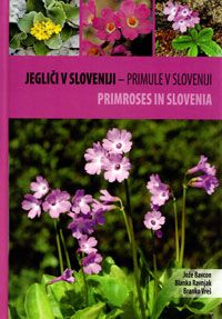 Jegliči v Sloveniji - Primule v Sloveniji - Primroses in Slovenia