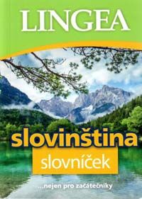 Češčina: češko-slovenski slovar, slovensko-češki slovar