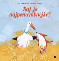Kaj je najpomembnejše?