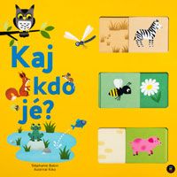 Kaj kdo jé?