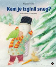 Kam je izginil sneg?