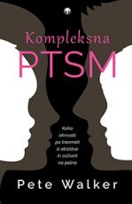 Kompleksna PTSM