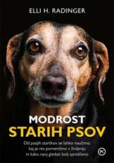 Modrost starih psov