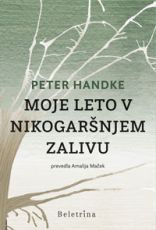 Moje leto v nikogaršnjem zalivu
