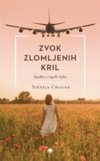 Zvok zlomljenih kril
