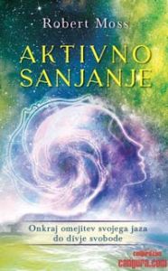 Aktivno sanjanje