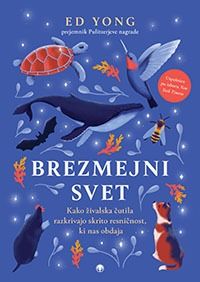 Brezmejni svet