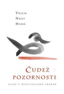 Čudež pozornosti