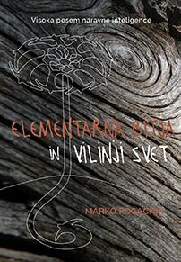 Elementarna bitja in vilinji svet