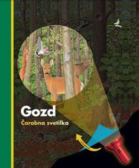 Gozd: Čarobna svetilka