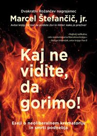 Kaj ne vidite, da gorimo