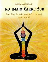 Ko imajo čakre žur