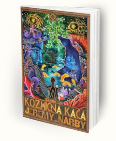 Kozmična kača