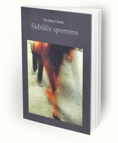 Sidrišče spomina