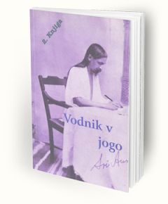 Vodnik v jogo 2