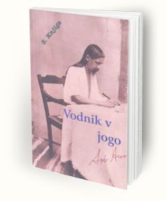 Vodnik v jogo 3