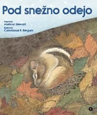 Pod snežno odejo