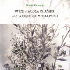 Ptice v mojem oljčniku - Gli uccelli nel mio uliveto