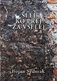 Slej ko prej za vselej: iz dnevnikov 2009-2013