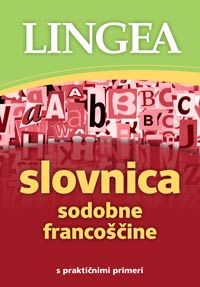Slovnica sodobne francoščine : s praktičnimi primeri
