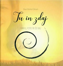 Tu in zdaj