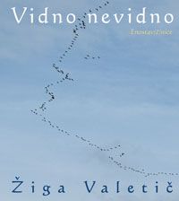 
Vidno nevidno : enostav(č)nice - Žiga Valetič