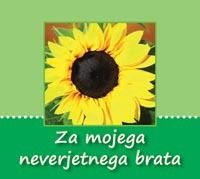 Za mojega neverjetnega brata