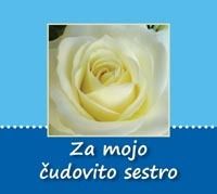Za mojo čudovito sestro